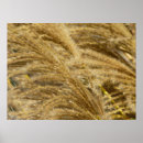 Suche nach hellbraun poster Herbst