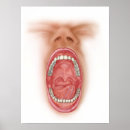 Suche nach menschlicher knochen poster Menschliche anatomie