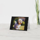Suche nach havanese hunde karten Haustier