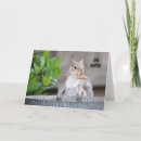 Suche nach eichhörnchen kleine grußkarten Lustig