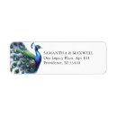 Suche nach pfau rücksende aufkleber Für sie/ihn