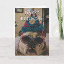 Suche nach bulldogge karten Lustig