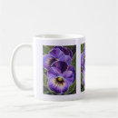 Suche nach stiefmütterchen tassen Violette blumen