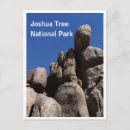 Suche nach joshua poster Joshua tree nationalpark