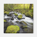 Suche nach moos magnete Usa