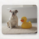 Suche nach badewanne mousepads Spaß