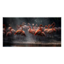 Suche nach flamingos poster Fotografie
