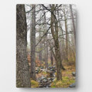 Suche nach bäume auf fotoplatten Im freien