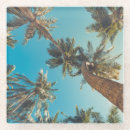 Suche nach bäume untersetzer Jahreszeit