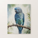 Suche nach parkett puzzle Papagei