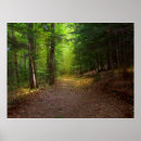 Suche nach strahlen poster Bäume