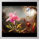 Suche nach martin johnson heade poster Blume