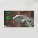 Suche nach iguana visitenkarten Eidechse