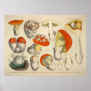 Suche nach orange gelb poster Illustration