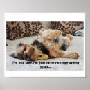 Suche nach die fäule poster Hund