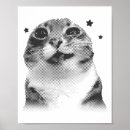 Suche nach kätzchen poster Katze