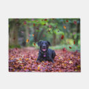 Suche nach der labrador türmatten Haustier