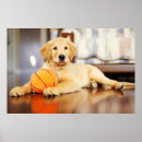 Suche nach golden retriever poster Welpen