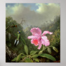 Suche nach martin johnson heade poster Vorhang
