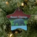 Suche nach polarlichter ornamente Alaska
