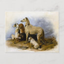 Suche nach vintage drucke postkarten Hund