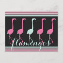 Suche nach rosa flamingos postkarten Florida