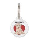 Suche nach havanese Hundeliebhaber