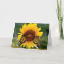 Suche nach monarchfalter postkarten Insekten