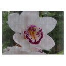 Suche nach orchideen schneidebrettchen Natur