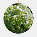 Suche nach grüne blume ornamente Natur