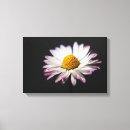 Suche nach häufig kunst Gelb