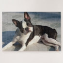 Suche nach boston terrier puzzle Rätsel