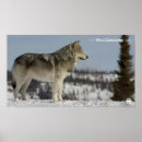 Suche nach dokumentarisch poster Natur