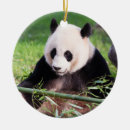Suche nach vom zoo ornamente Winter