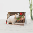 Suche nach kaninchen beileidskarten Hase