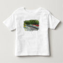 Suche nach gehweg tshirts Fußweg