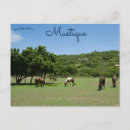 Suche nach karibische inseln postkarten Landschaftlich