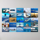 Suche nach unterseeboot poster Meer