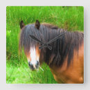 Suche nach niedliches pferd wanduhren Tiere