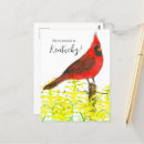 Suche nach kentucky postkarten Wir sind umgezogen