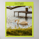 Suche nach enten poster Natur