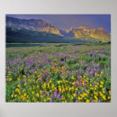 Suche nach wiese poster Farbenfroh