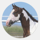 Suche nach paint horse aufkleber Bob langrish