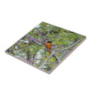 Suche nach baltimore fliesen Natur