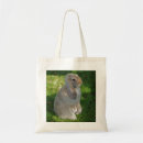Suche nach kaninchen taschen Baby
