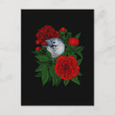 Suche nach vintage botanische vögel postkarten Blume