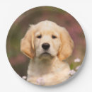 Suche nach niedliche hunde teller Haustier