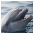 Suche nach dolphin fliesen Delfin