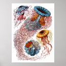 Suche nach ernst haeckel poster Kunstformen der natur