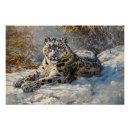 Suche nach schneeleopard poster Wildkatze
